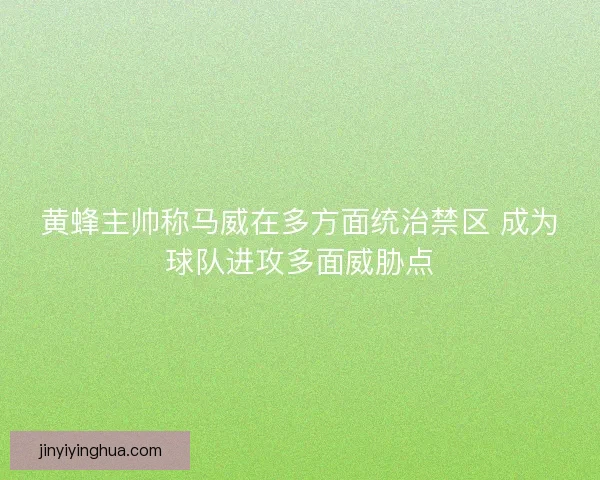 黄蜂主帅称马威在多方面统治禁区 成为球队进攻多面威胁点